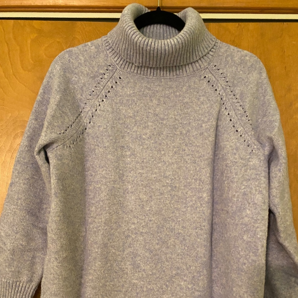 Gap Turtle Neck Sweater